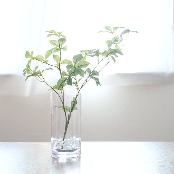 割れない花瓶 L】ドウダンツツジ（観葉植物インテリアグリーン）セット