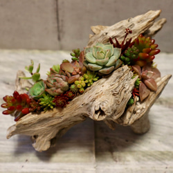 3c7a195d46d63e02338304788be785