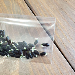 ミモザアカシアの種☆育て方説明書付き☆50粒　花の種 4枚目の画像