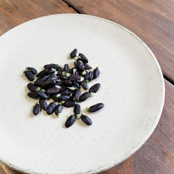 ミモザアカシアの種☆育て方説明書付き☆50粒　花の種 3枚目の画像