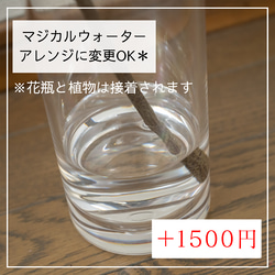 【割れない花瓶 LL】ドウダンツツジ特大枝（インテリアグリーン）セット 誕生日プレゼント・結婚出産祝い・引っ越し開店祝い 7枚目の画像