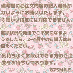 さくらんぼ❁﻿お名前ワッペン❁﻿横書き 10枚目の画像