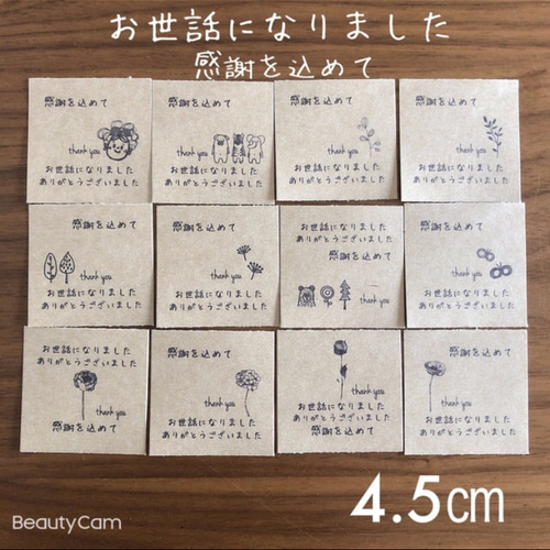さいとうあすか | . @25answedding 2024 Summer&Autumn💍 6/24
