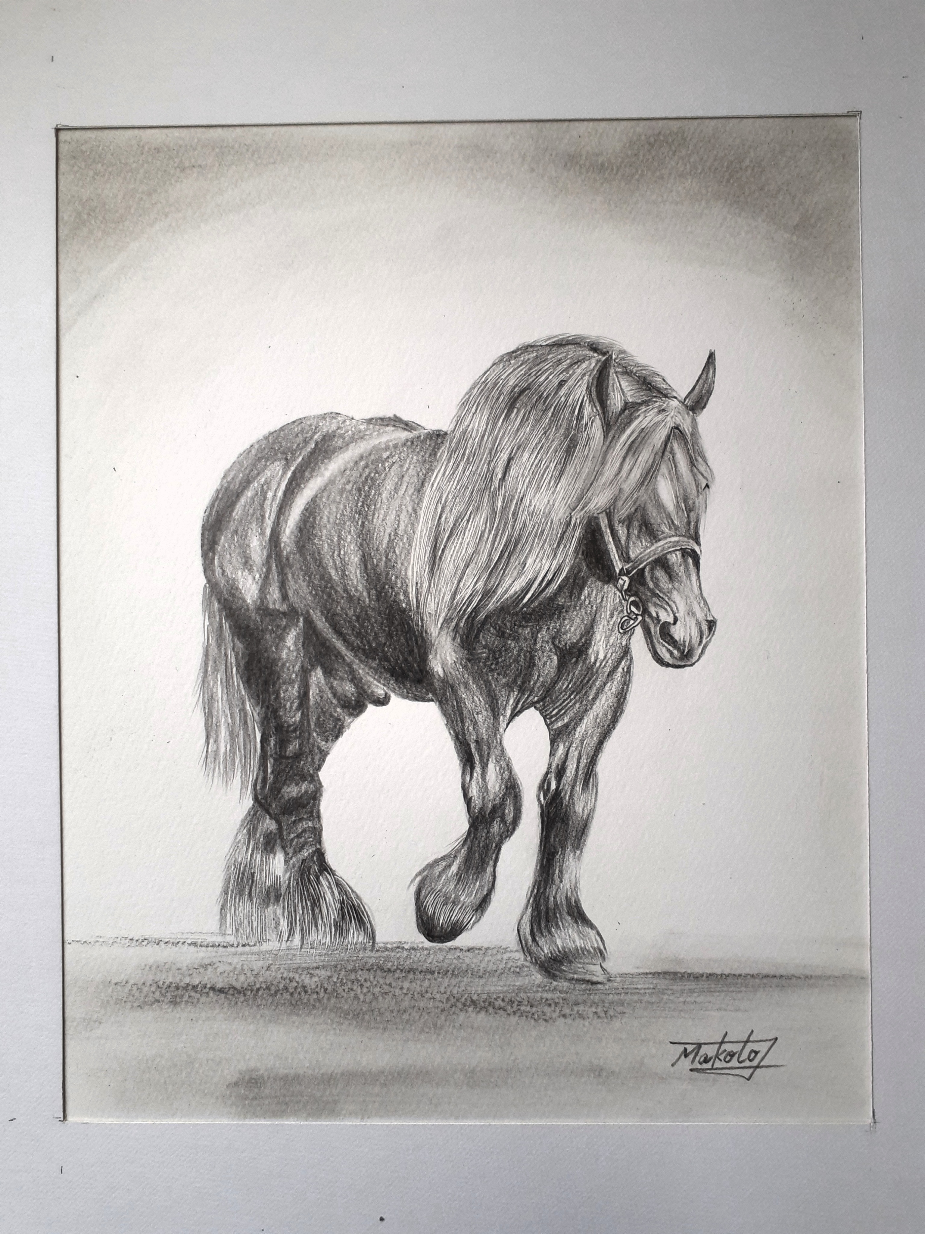 高級色鉛筆　絵画　【白馬】1点もの　飾り絵