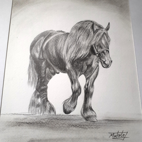 鉛筆画アート 寒立馬(かんだちめ) 絵画 makochin 通販 15484669