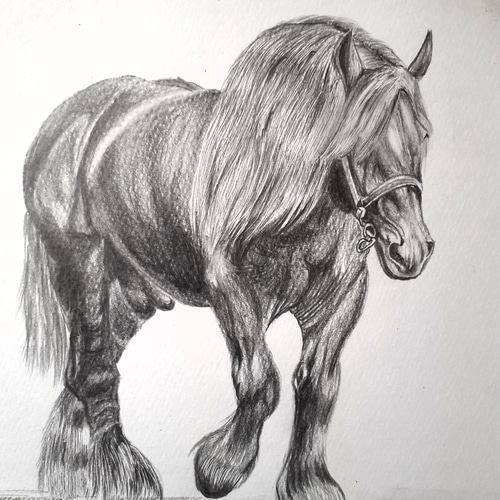 鉛筆画アート 寒立馬(かんだちめ) 絵画 makochin 通販 15484669