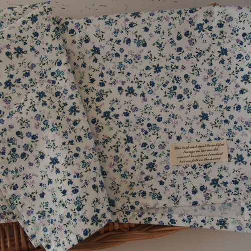 ランチョンマット 40×50 小学校 保育園 幼稚園 ランチ マット その他