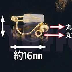  第8張的照片