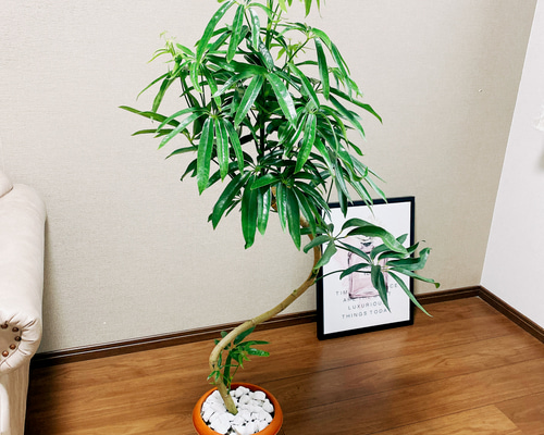 8f316eb28bb5792835608da4618a1e