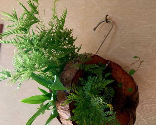 石鉢・寄せ植え鉢・多肉植物用鉢・山野草シダ鉢