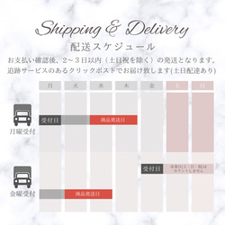 TV衣装提供【特集掲載】桜色 ピンクシェル クリスタル 水晶 夏 ネックレス アレルギー対応 母の日 誕生日 ギフト 11枚目の画像