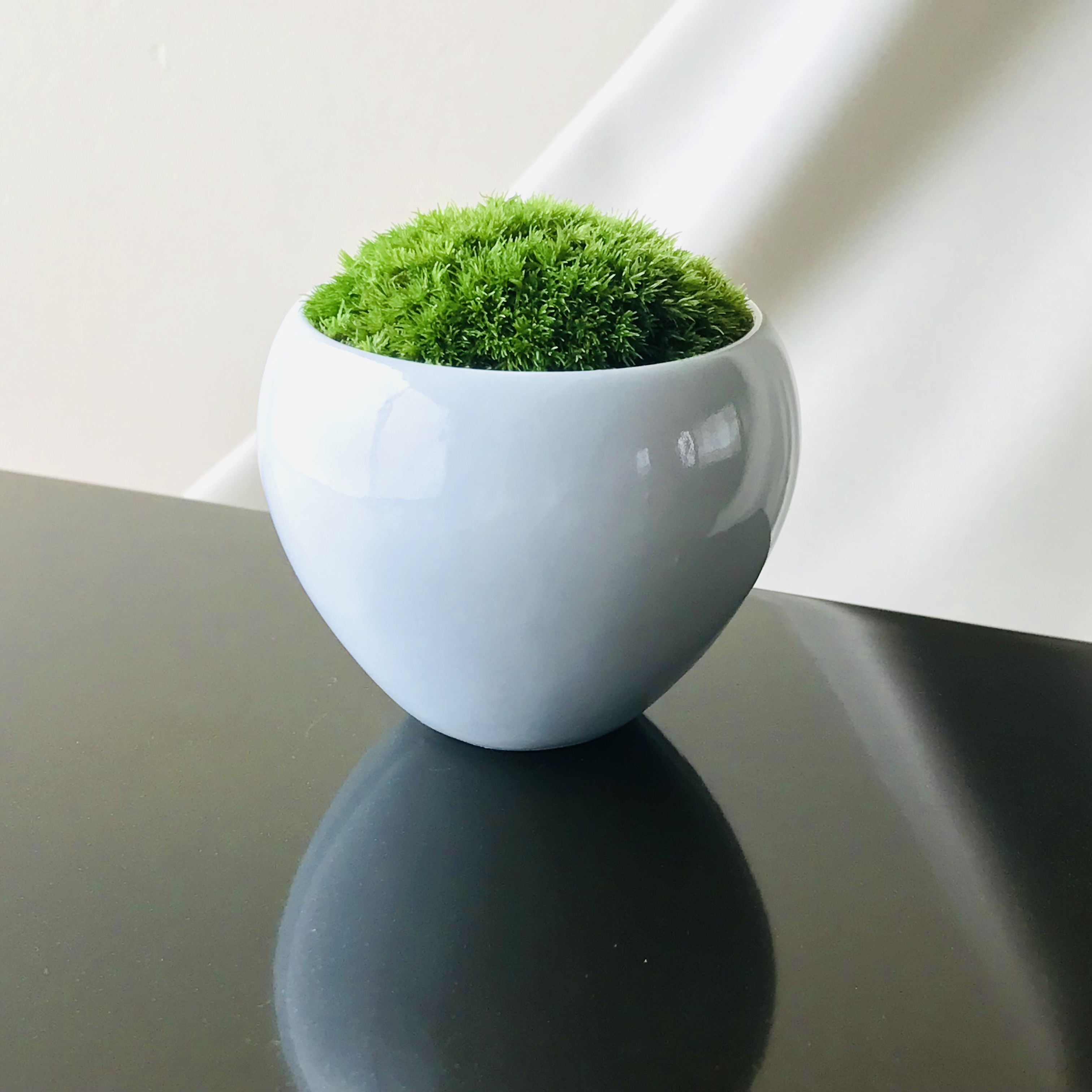 苔鉢 ＜姿が美しい こけ鉢 手のひらサイズ＞ 豆盆栽 一輪挿し