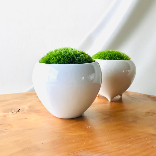 苔鉢 ＜姿が美しい こけ鉢 手のひらサイズ＞ 豆盆栽 一輪挿し