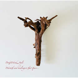 流木インテリア ランプや小物を飾れる天然流木の壁掛けスタンド ランタン 置物 北欧 照明 自然 N4 9枚目の画像