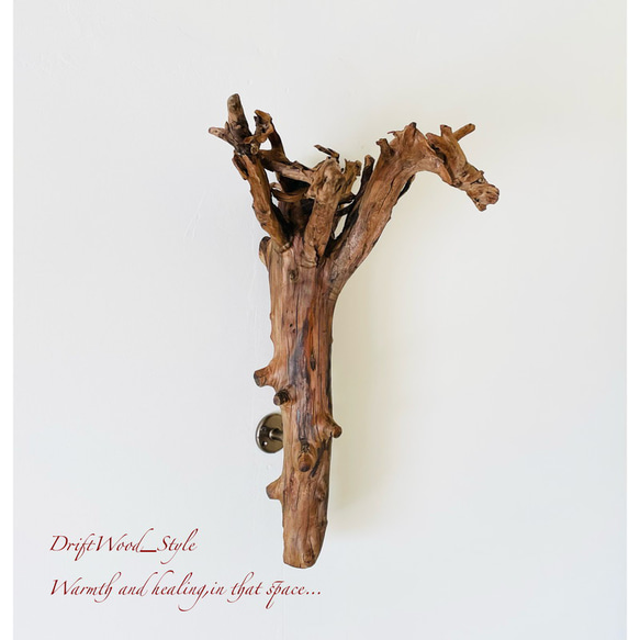 流木インテリア ランプや小物を飾れる天然流木の壁掛けスタンド ランタン 置物 北欧 照明 自然 N4 6枚目の画像