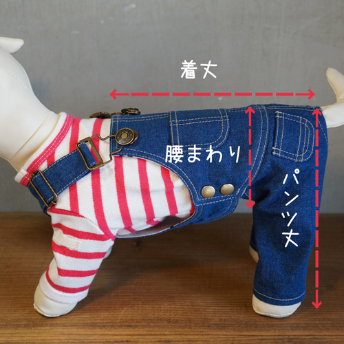 犬服 ブルーデニム☆オーバーオール☆ドッグウェア サロペット