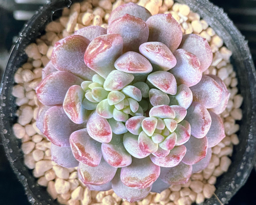 884138c1407875432c171ec43ddd00