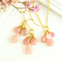 超超超希少】フォッシルコーラル 桜ピンク 2-3.5億年前の有機宝石