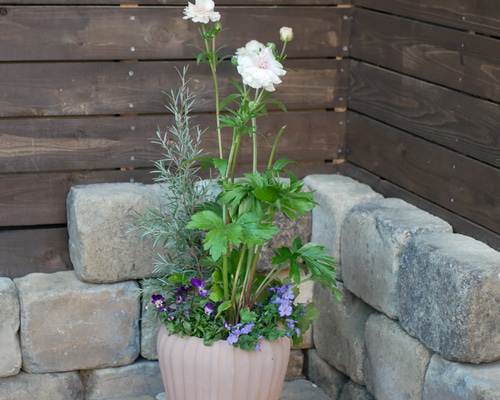 1cfc43d65e25ab8f6cc5679621141d