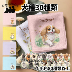 317ced28138c6096174d7ed5e9a5a1