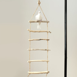 流木ラダー｜鳥のおもちゃ 3枚目の画像