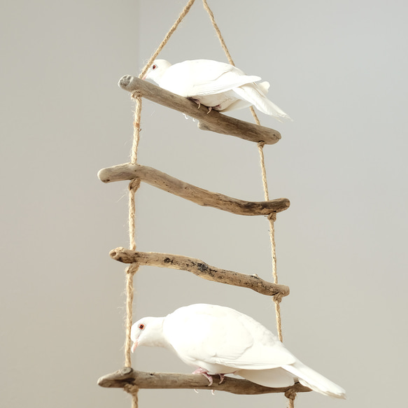 流木ラダー｜鳥のおもちゃ 5枚目の画像