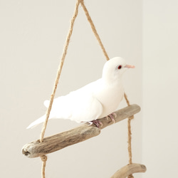 流木ラダー｜鳥のおもちゃ 9枚目の画像