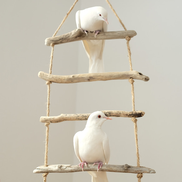 流木ラダー｜鳥のおもちゃ 4枚目の画像