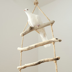 流木ラダー｜鳥のおもちゃ 6枚目の画像