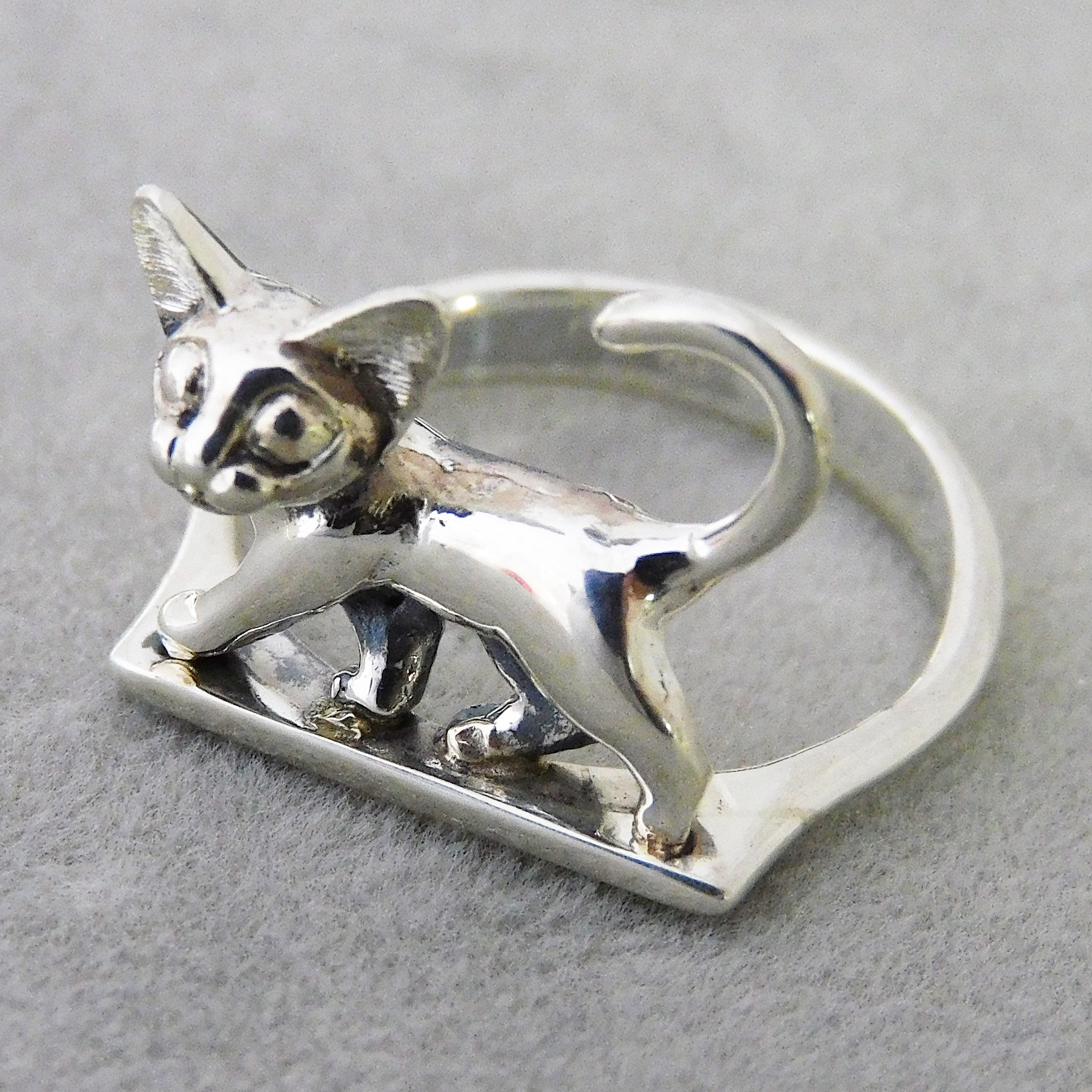 猫ウォーキングリング