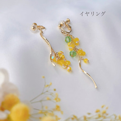 ✴︎mimosa✴︎ピアス【Hijiri】ステンレスピアス　ミモザ　春色ピアス　春ピアス　イエローオパール　ペリドット 6枚目の画像