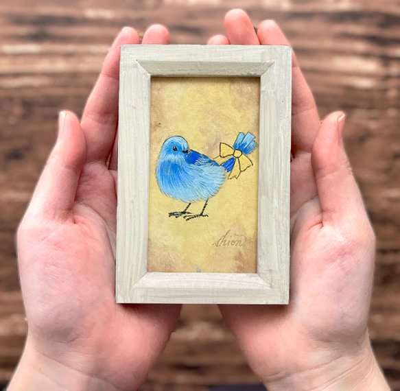 ジノリ レアな小鳥シリーズ絵皿 未使用箱入りリボン掛け 2025年最新