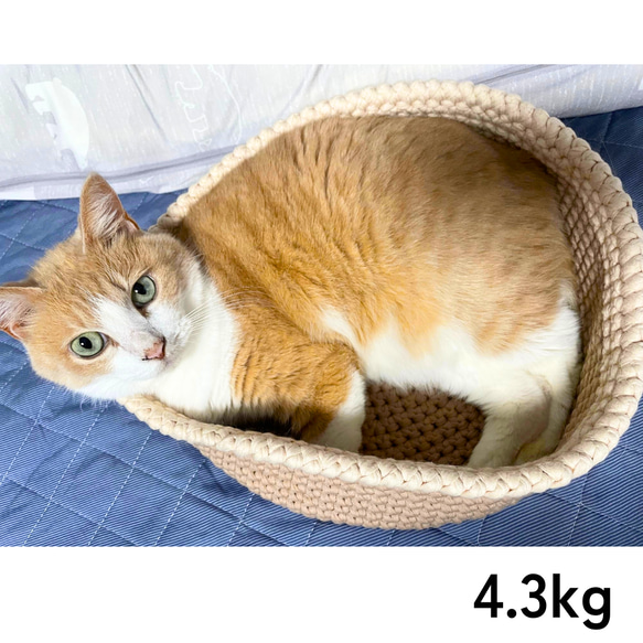 洗濯機で丸洗い可＆オールシーズン使える猫ベッド＊選べる３色（ベージュ・グレー・ブラウン）手編みのペットベッド 16枚目の画像