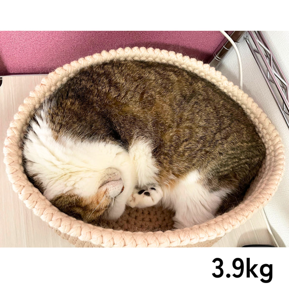 洗濯機で丸洗い可＆オールシーズン使える猫ベッド＊選べる３色（ベージュ・グレー・ブラウン）手編みのペットベッド 17枚目の画像