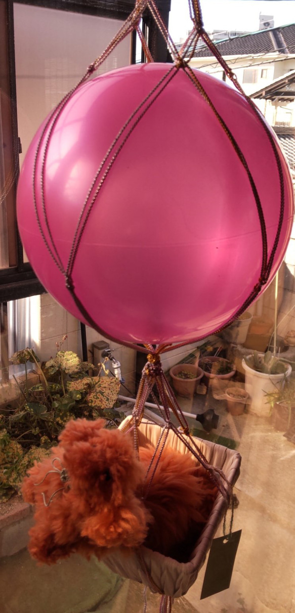 気球とワンちゃん 6枚目の画像