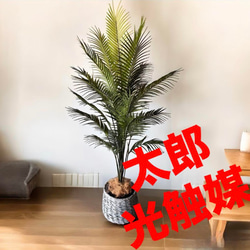 アメリカン スクールバス/ ディスプレイプランター(フェイクグリーン