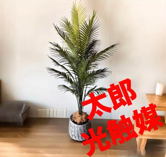 光触媒 人工観葉植物 ウォールグリーン フェイクグリーン 飛鳥 