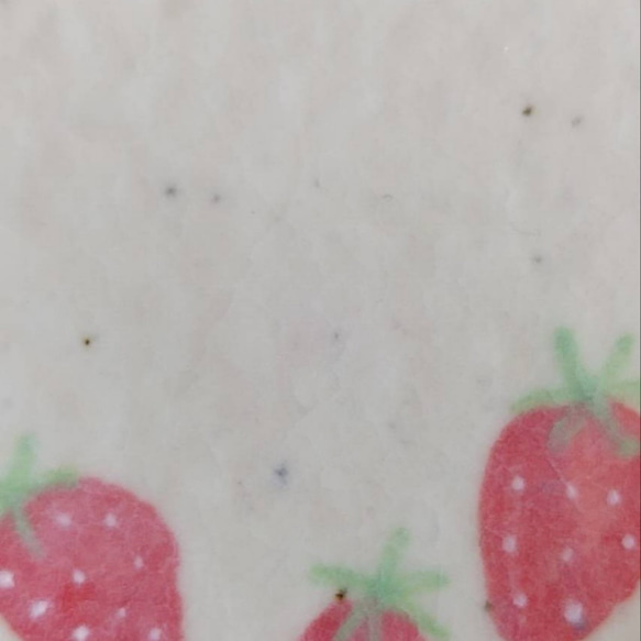 《少し訳あり品》陶の中皿・ケーキ皿【山武市のイチゴ】 4枚目の画像