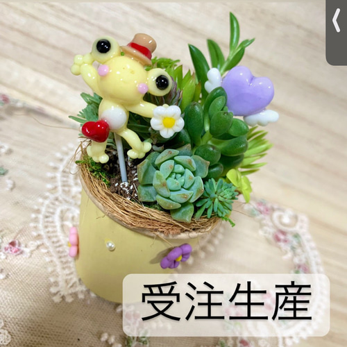 ❤️多肉植物❤️そのまま飾れる寄せ植え❤️カエル君❤️ そのまま飾れる〜多肉植物寄せ植え(樹脂粘土レジン))カエル 多肉