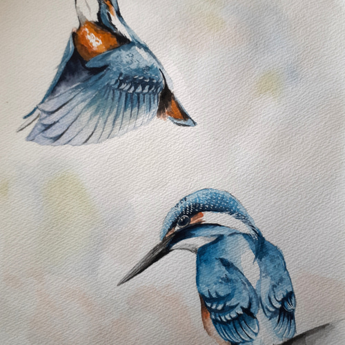 水彩画 カワセミ 絵画 makochin 通販 15490996｜Creema(クリーマ)