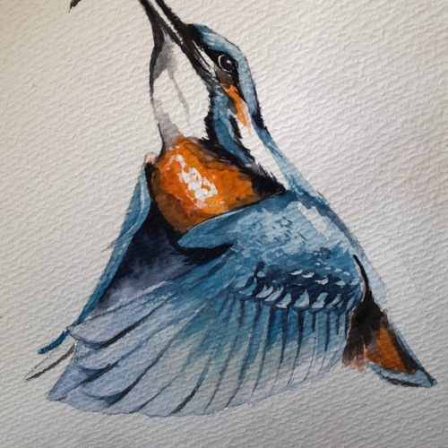 水彩画 カワセミ 絵画 makochin 通販 15490996｜Creema(クリーマ)