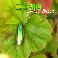 虫 ブローチ の人気通販｜Creema(クリーマ) 国内最大のハンドメイド