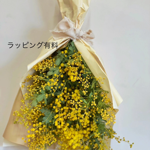 ミモザのブーケ スワッグ【期間限定300円引き】 ドライフラワー