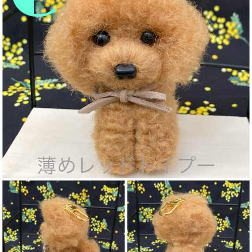 羊毛フェルト♪⭐️キーホルダートイプー⭐️可愛いトイプーちゃん達が