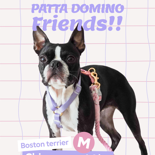 ハーネス / ピンク＆パープル / 犬の首輪/ 小型犬・中型犬 / ボストン