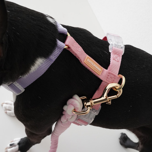 ハーネス / ピンク＆パープル / 犬の首輪/ 小型犬・中型犬 / ボストン