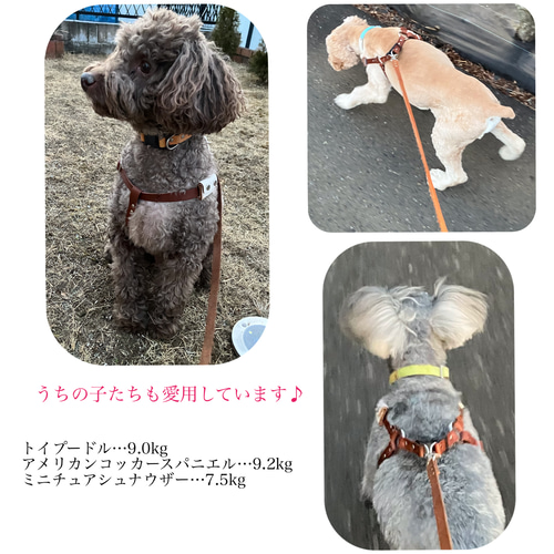 本革 犬用ハーネス 小型犬 レザーハーネス 優しいつけ心地