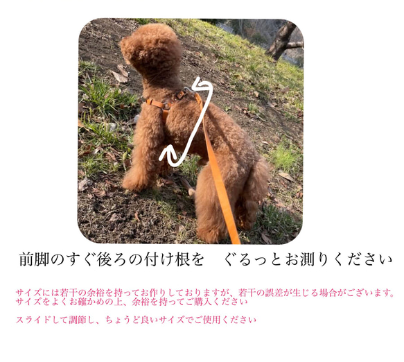 本革　犬用ハーネス　小型犬　レザーハーネス　優しいつけ心地 5枚目の画像