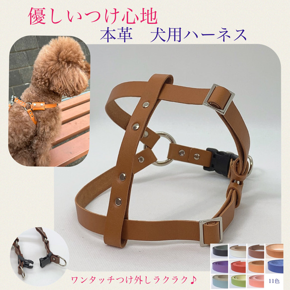 【メーカー直売】 犬用ハーネス 本革 小型犬 優しいつけ心地 レザーハーネス 首輪・ハーネス・リード