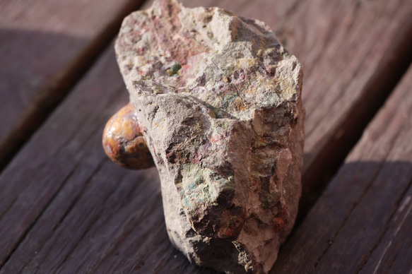 ゴビ石−1054 眼石　鉱物標本 5枚目の画像